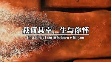 XP访问win7 没有权限