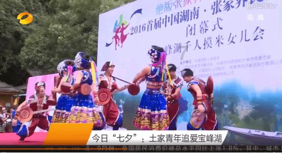 动物帮帮忙保卫家园